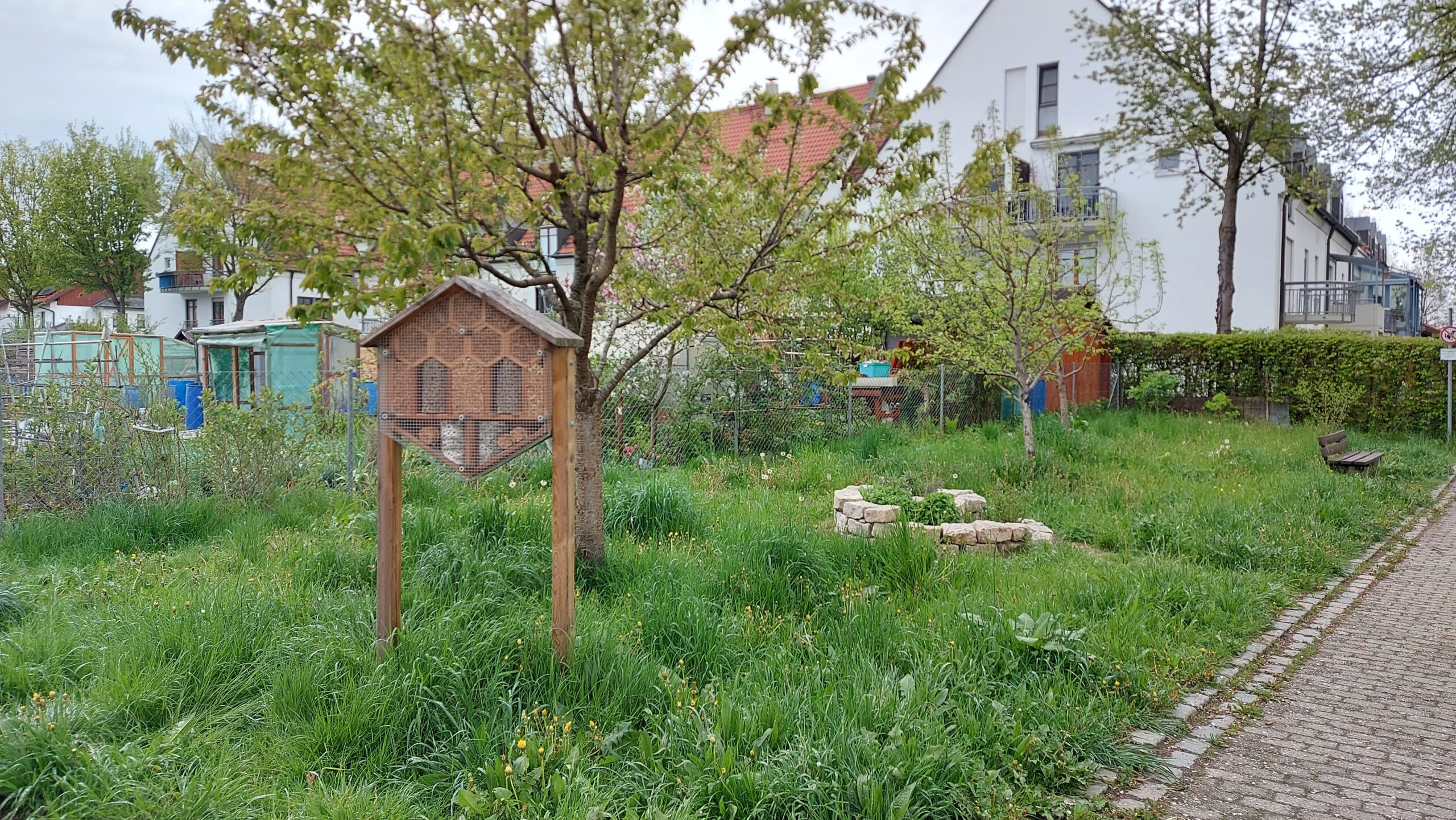 Fläche Loderergasse nachher