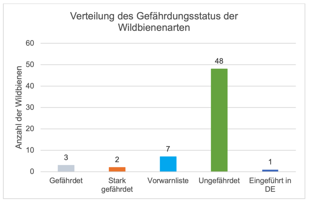 Gefährdungsstatus der beobachteten Wildbienen