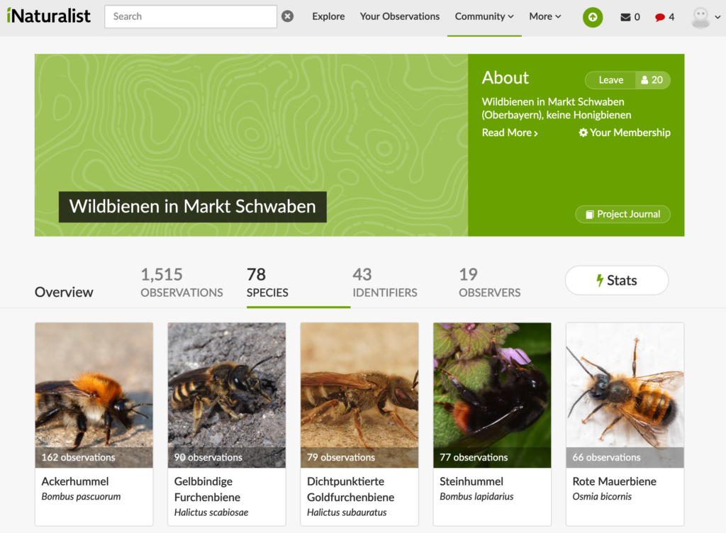 STARTSEITE DES PROJEKTES WILDBIENEN IN MARKT SCHWABEN BEI INATURALIST