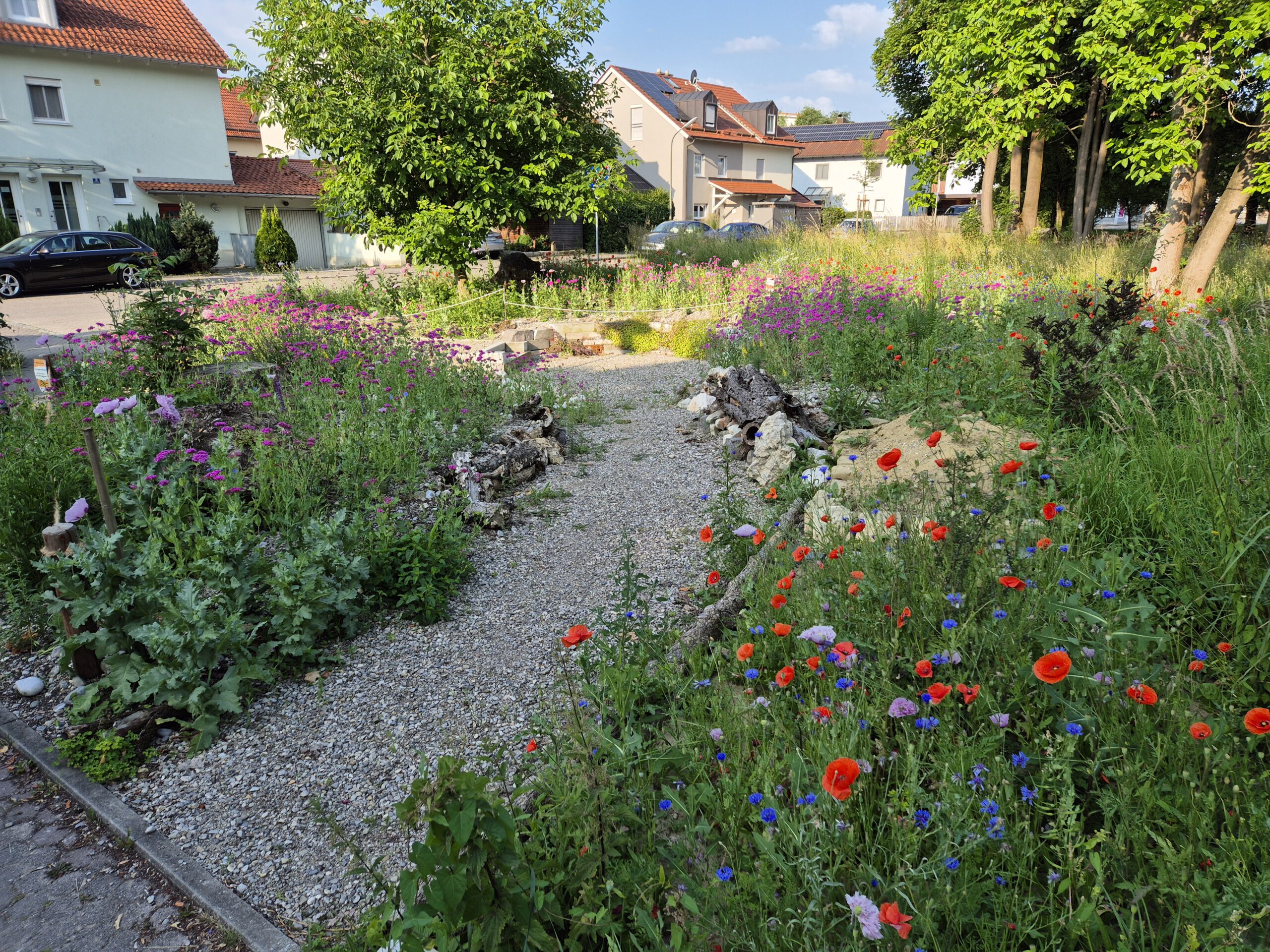 Die Wilbienen-Oase in voller Blüte
